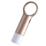 Lexon Nomaday Flash LED Keychain gold LL137D - imagine 5