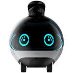 Intelligent companion robot ENABOT   EBO X