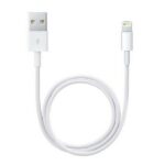 Apple Lightning to USB Cable (0.5 m)