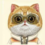 Nimmy case iPhone 16 6.1" khaki Cool&Cute 2.0 Cat - imagine 10