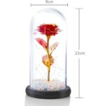 Eternal Rose in Glass Extralink Home, Red LED Glowing - imagine 4