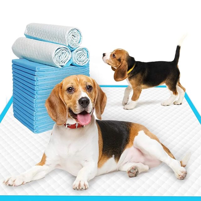 Extralink Pets XL Puppy Training Pads, Absorbent 90x60cm Thick 50 Count for Dog Housebreaking - imagine 3