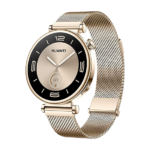 Watch Huawei Watch GT4 41mm (Aurora-B19M) - Gold