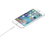 Kabel Apple MUQW3ZM/A blister 1m Lightning iPhone 5/SE/6/6 Plus/7/7 Plus/8/8 Plus/X/Xs/Xs Max/Xr - imagine 2