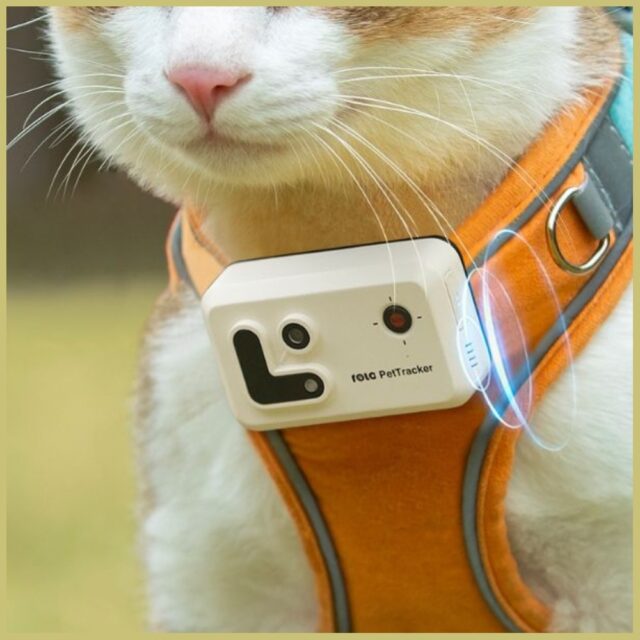 Enabot ROLA PetTracker-GPS Tracker for Pets | MP4 | Dark Blue - imagine 6