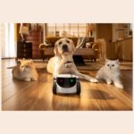 Enabot Family Robot IP Camera | ROLA PetPal | 5 MP | Micro SD  Max. 256GB - imagine 5
