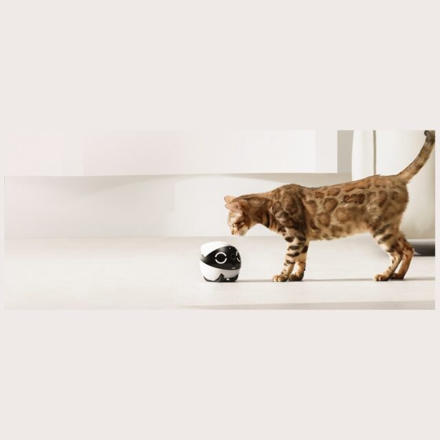 Enabot ROLA Mini Companion Robot - imagine 4