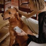 UNIQ Coehl Solitaire Case iPhone 14 Plus / 15 Plus 6,7" clear - imagine 2