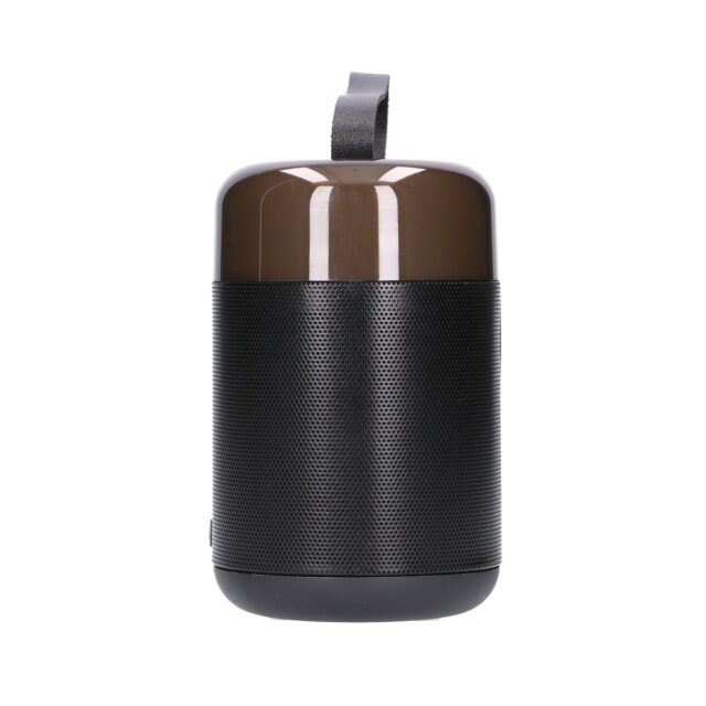 Extralink Kids Karaoke LED Speaker Set 2x Mic Black, Bluetooth Speaker, 2 Microphones, AUX, Memory Card Slot, RGB Lighting - imagine 5