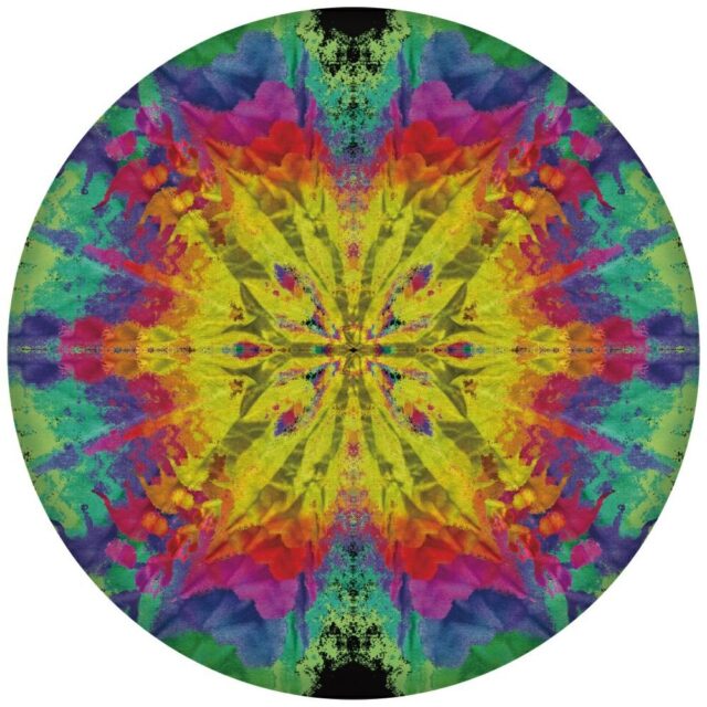 Waboba Wingman Pro silicone disc frisbee 20cm - imagine 2