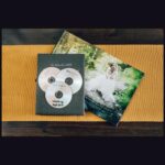 Verbatim DVD-R 4.7GB 16x AZO silver 10pcs 43523 - imagine 4