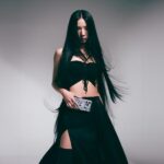 Skinarma case Ekho iPhone 16 Pro Max 6.9" Magnetic Charging black - imagine 6