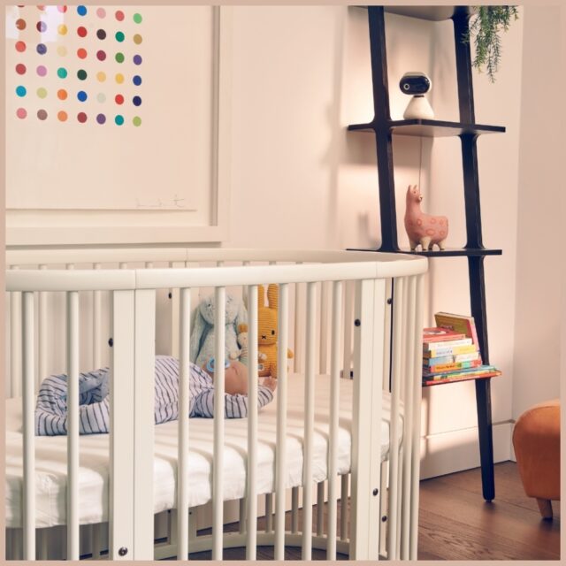 Electronic nanny Motorola PIP1500 Connect camera + monitor 5" white - imagine 9