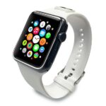 Karl Lagerfeld Pasek KLAWLSLCW Apple Watch 42/44/45mm white strap Silicone Choupette Heads - imagine 3