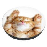 Popsockets 2 Snoozy Cat 70072 - Basic Phone Grip and Stand - imagine 3