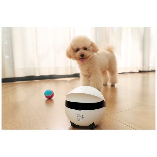Enabot ROLA Mini Companion Robot - imagine 6