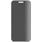 PanzerGlass Privacy Screen ProtectoriPhone 16 Pro 6.3" Ultra-Wide Fit P2862 - imagine 3