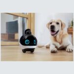 Intelligent companion robot ENABOT   EBO X - imagine 9