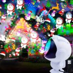 Extralink LED Laser Projector - imagine 5