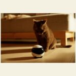 Enabot EBO SE  Robot IP Camera Compact N/A MP N/A 16GB external memory  support 256GB at maximum - imagine 8