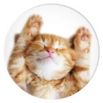 Popsockets 2 Snoozy Cat 70072 - Basic Phone Grip and Stand - imagine 2