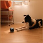 EnaBot EBO AIR 2 home monitor robot (white) - imagine 7