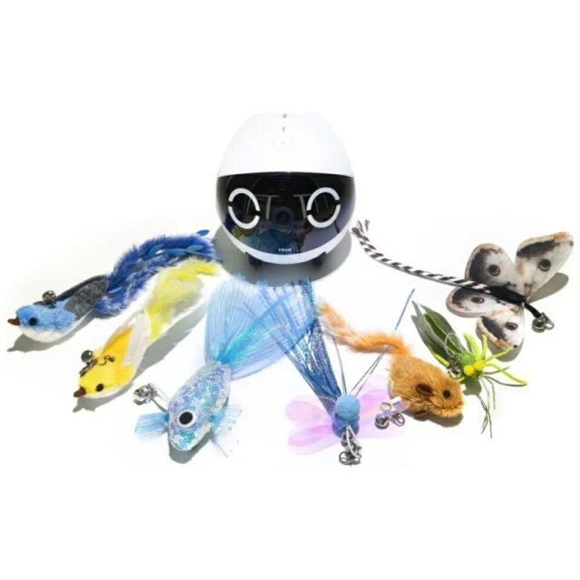 Interaction toy tips for the ENABOT ROLA Mini Intelligent Companion Robot - imagine 3