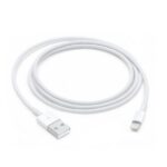 Apple Lightning to USB Cable (1? m)