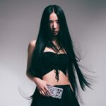 Skinarma case Ekho iPhone 16 Pro Max 6.9" Magnetic Charging clear - imagine 5