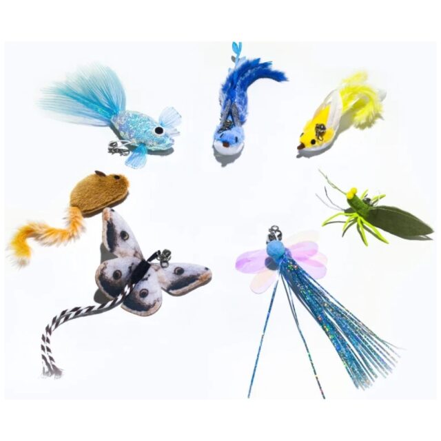 Interaction toy tips for the ENABOT ROLA Mini Intelligent Companion Robot - imagine 2