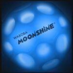 Waboba LED Bounceback Throwing Ball on a cord (Product in several colors – random shipment) - imagine 5