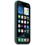 Case Apple Silicone Case MYYR3ZM/A MagSafe for iPhone 16 Pro Lake Green - imagine 2