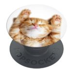 Popsockets 2 Snoozy Cat 70072 - Basic Phone Grip and Stand