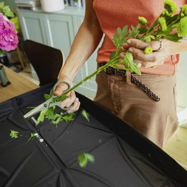 Plant Care Set for Plants 3 pcs - imagine 8