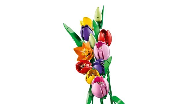 LEGO BOTANICALS 11501 Tulip Bouquet - imagine 12