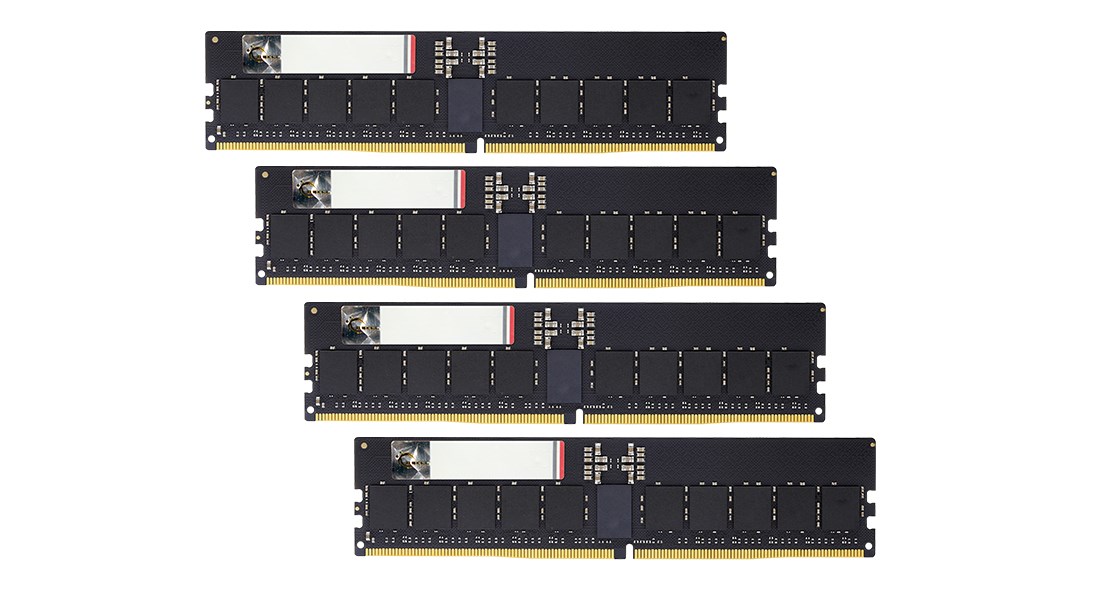 cps-03fa73ff58cf0e15b2e1d241ad510fcd-2026-01-14-20-04-27 G.Skill Aegis 5 F5-6000R3036G16GQ4-G5N memory module 64 GB 4 x 16 GB DDR5 6000 MT/s ECC - imagine 1