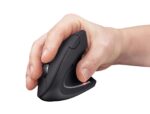 Trust Verto mouse Office Right-hand RF Wireless Optical 1600 DPI - imagine 6