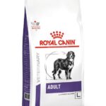 ROYAL CANIN Dog Neutered Adult Large VHN - dry dog food - 13kg