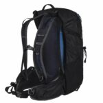 Trekking backpack - Gregory Citro 24 Ozone Black - imagine 3