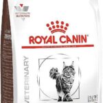 ROYAL CANIN Cat Gastrointestinal VHN - dry cat food - 400g
