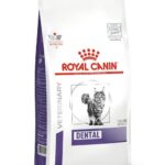 ROYAL CANIN Dental - dry cat food - 1 5kg