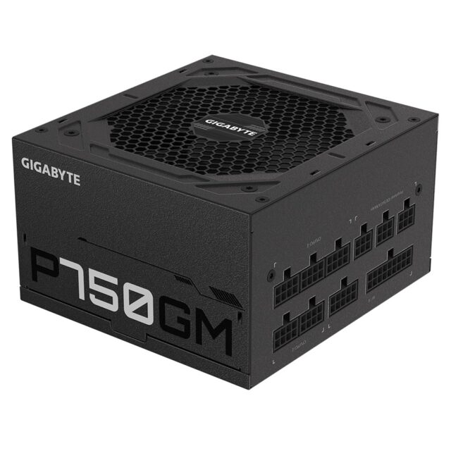 Gigabyte P750GM power supply unit 750 W 20+4 pin ATX ATX Black - imagine 3