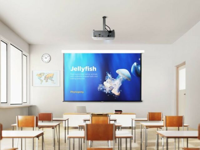 Viewsonic PA504W data projector Standard throw projector 4000 ANSI lumens DLP WXGA (1280x800) White - imagine 19