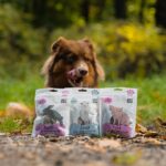 Paka Zwierzaka Lio Pepe Przysmak wieprzowe serca 60g - imagine 2