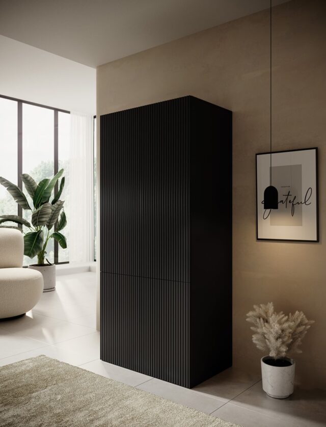 Wardrobe PAFOS 2D 90x55.5x198.5 Black matt - imagine 3