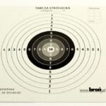 Paper discs 17x17 cm 100 pcs.