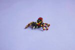 LEGO CREATOR 3 IN 1 31159 Surprising Spider - imagine 8
