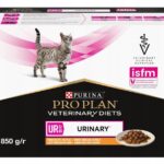 PURINA Pro Plan Veterinary Diets UR St/Ox Urinary Chicken - wet cat food - 10x85 g