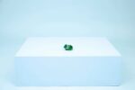 LEGO CREATOR 3 IN 1 31377 Turtle with a Water Lily Flower - imagine 11