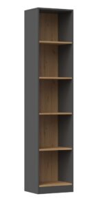 Topeshop R40 ANT/ART office bookcase